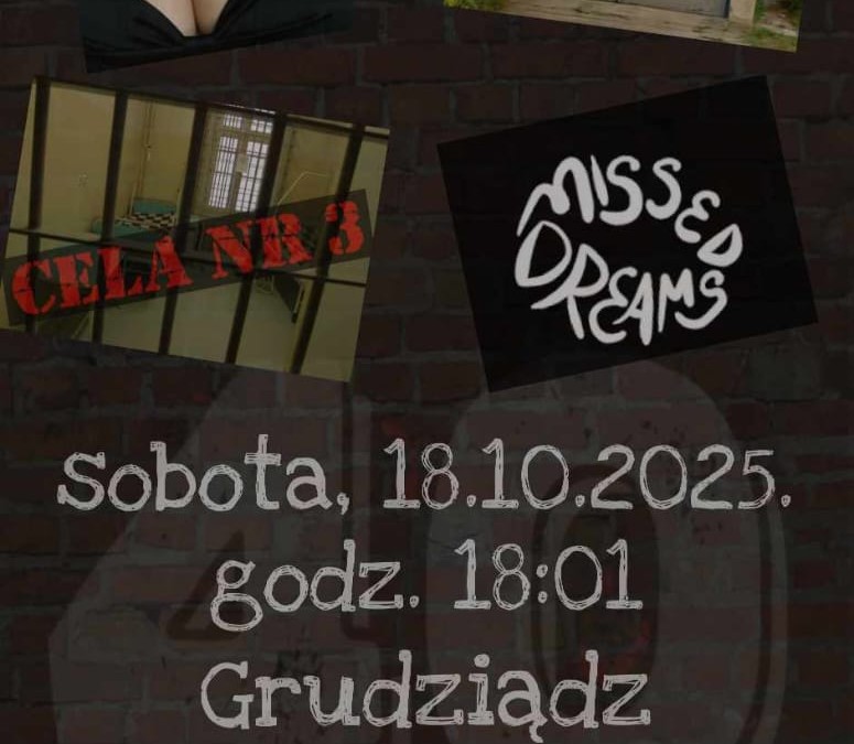 Cela nr 3 i goście – koncert punkrockowy