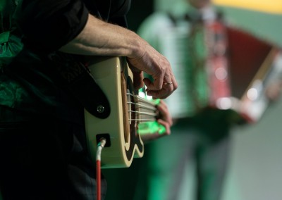 Shamrock CKT-1006