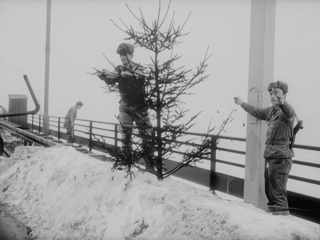 ROK Z ŻYCIA KRAJU_reż. Tomasz Wolski (3)