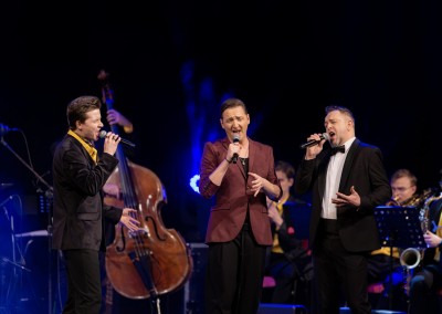 Karnawałowy CKT - 1047